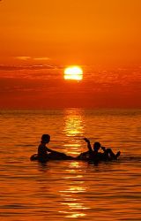 Roatan, Honduras. by Shawn Jackson 